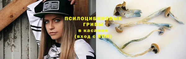 круглые Вяземский