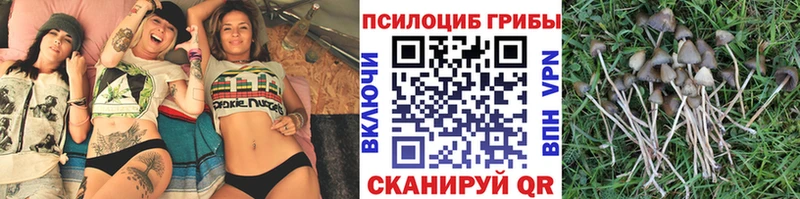 Галлюциногенные грибы MAGIC MUSHROOMS  KRAKEN сайт  Юрьев-Польский 